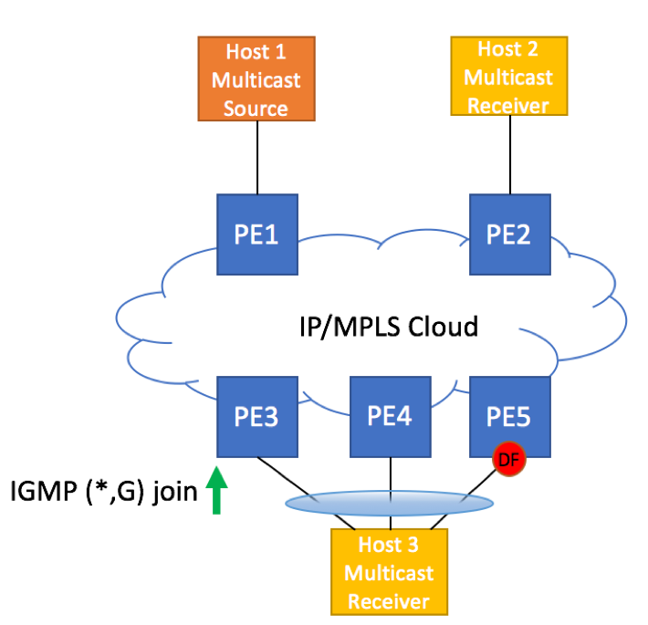 EVPN A/A Topology