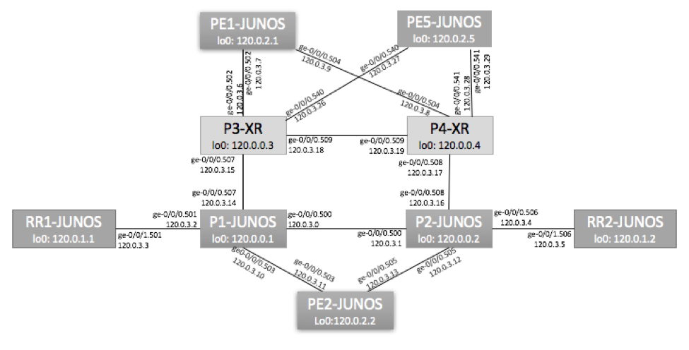 Juniper VLAN-Based EVPN Topology