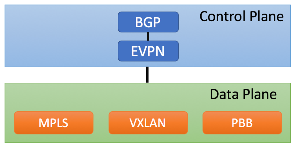 EVPN Control and Data Planes